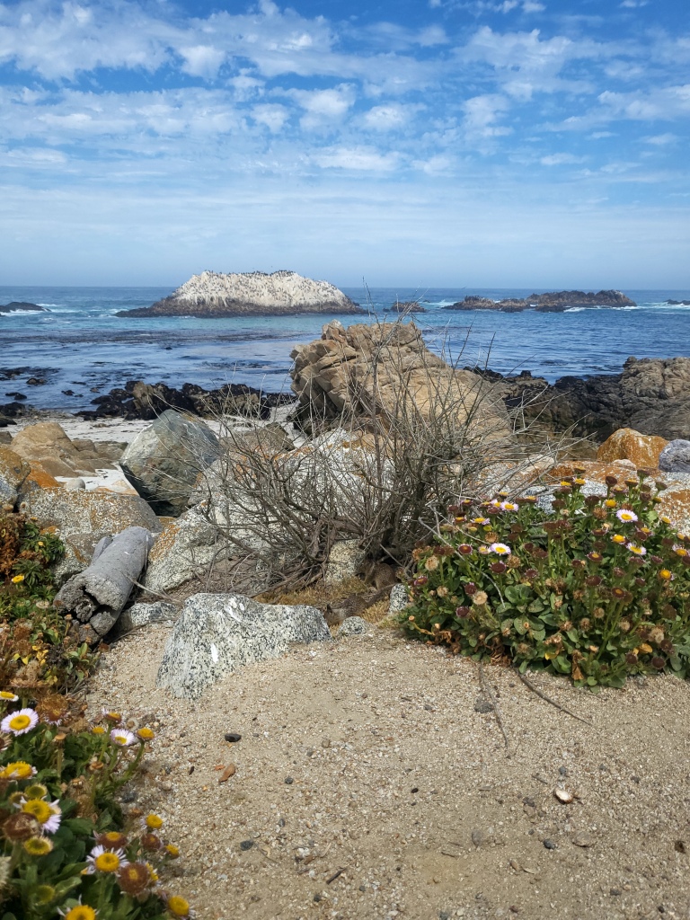 This image has an empty alt attribute; its file name is image-1.jpeg