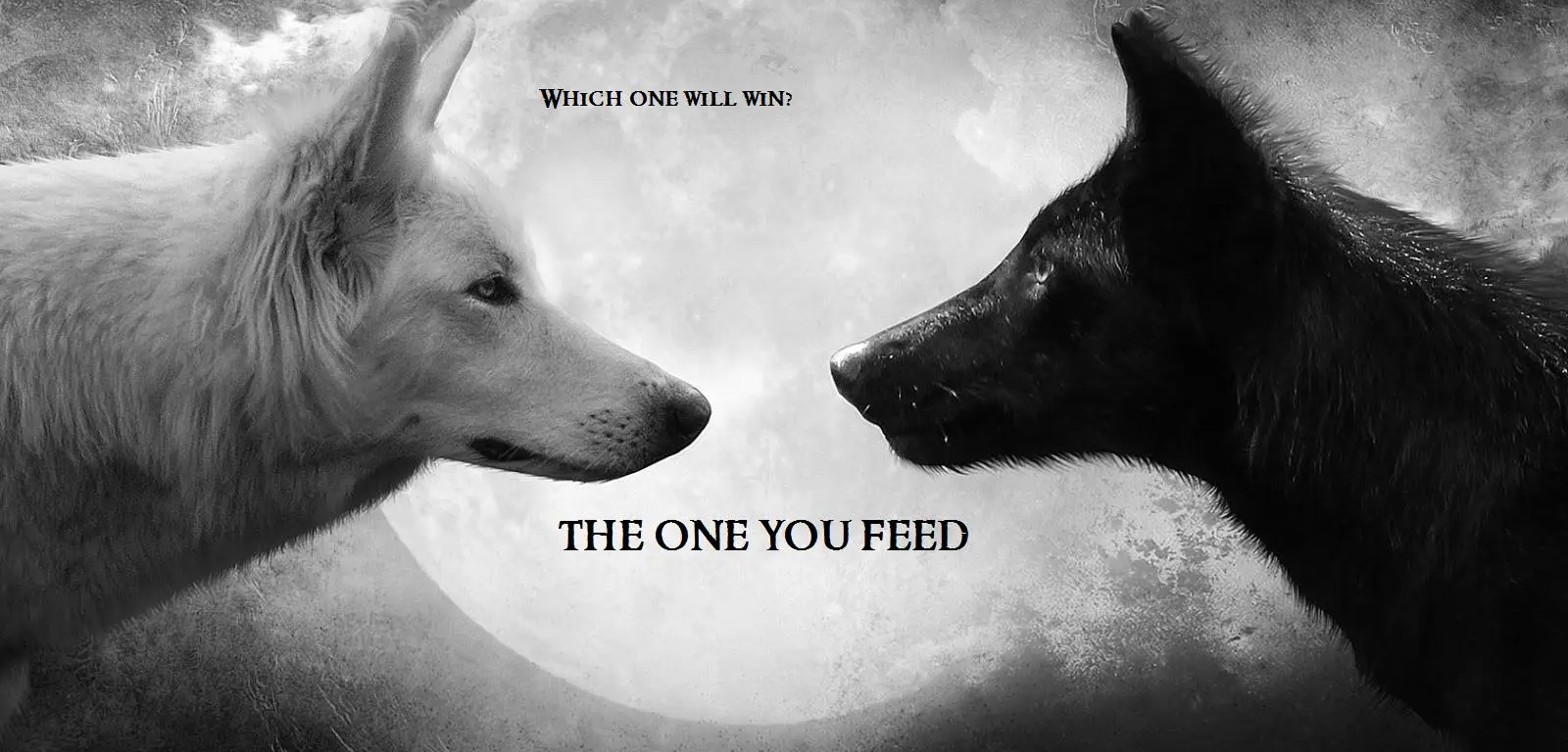 Which Wolf Do You Feed?