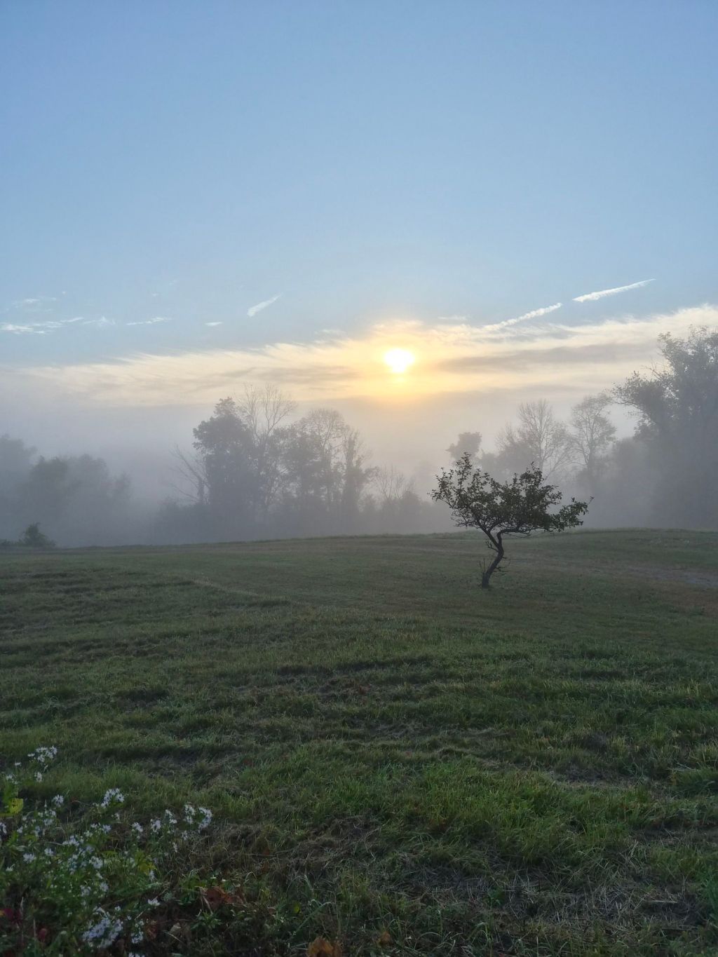 Poem of the Day&nbsp;Project