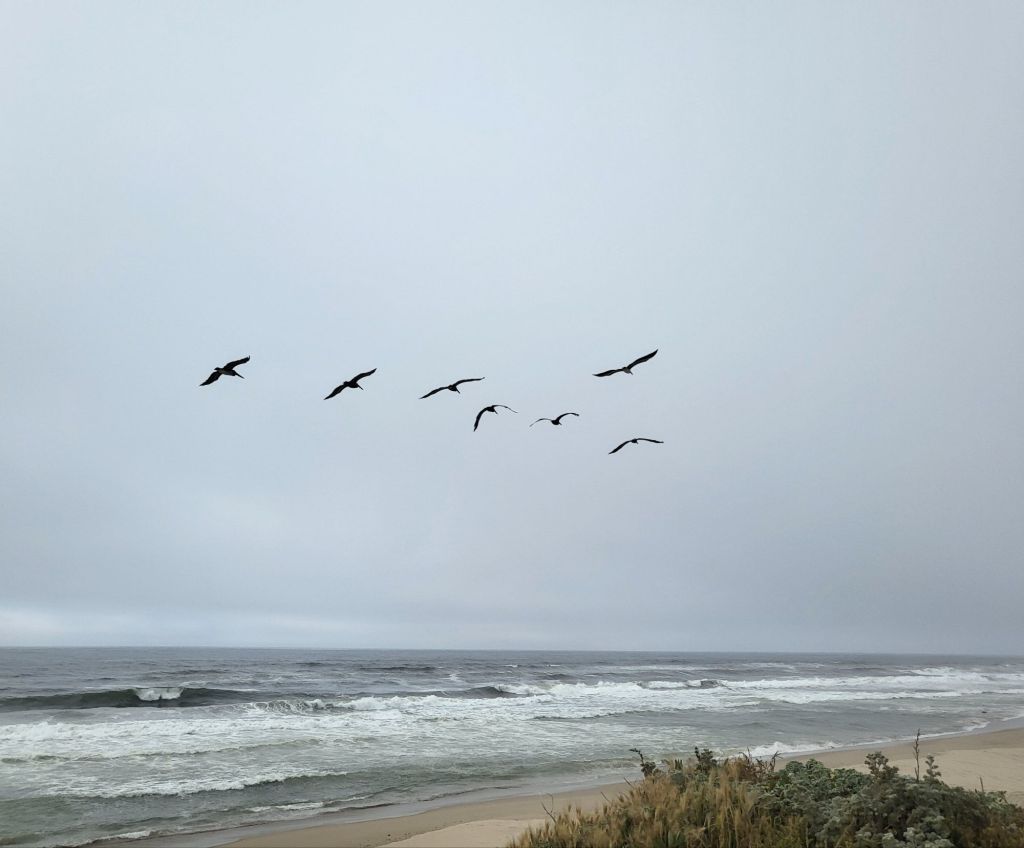 Poem of the Day&nbsp;Project